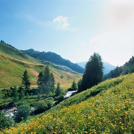 アパート Patschei Trid ザムナウン