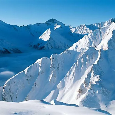 Patschei Trid ザムナウン