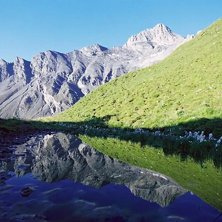 Patschei Trid سامنون