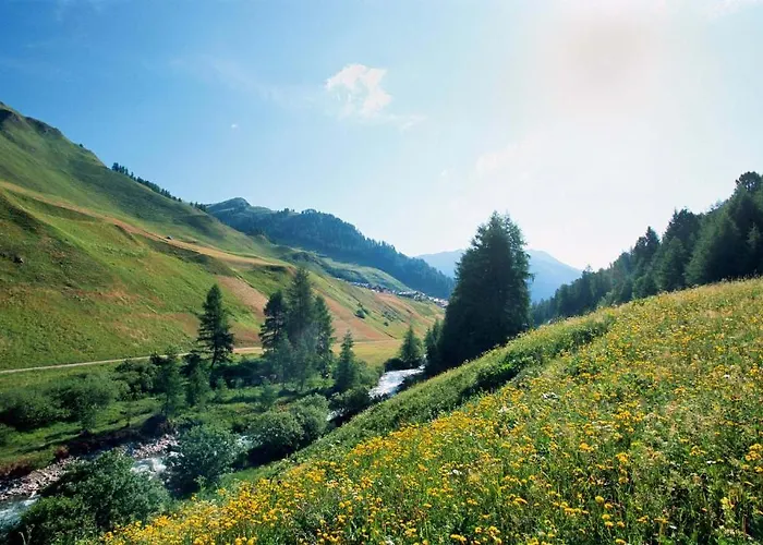 Daire Patschei Trid Samnaun